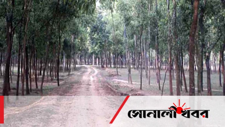 ভূমির পরিমাণ পদ্ধতি